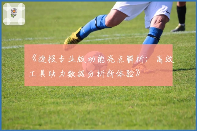 《捷报专业版功能亮点解析:高效工具助力数据分析新体验》