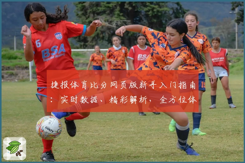 捷报体育比分网页版新手入门指南：实时数据、精彩解析，全方位体验升级